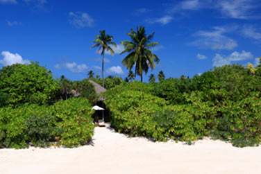 Vue sur la Beach Villa depuis la plage