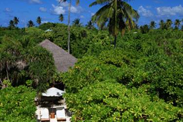 Alle menant  la plage depuis une Beach Villa. Au coeur de cette vgtation luxuriante, intimit garantie !