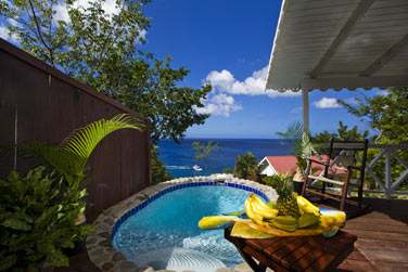 La piscine prive du Cottage avec piscine et une vue splendide sur la mer !