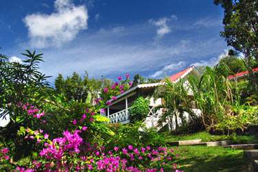 les cottages sont dissmins au coeur de la vgtation tropicale