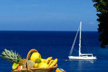 Profitez d'une superbe vue sur la mer depuis votre Cottage avec piscine