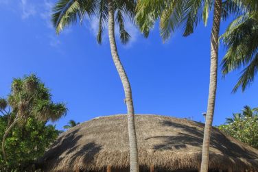 photo Kuramathi Maldives Maldives