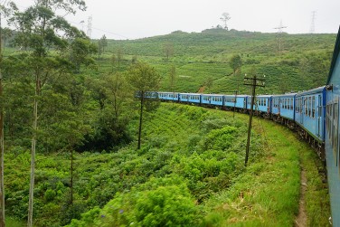 Le fameux train dans la r�gion d'Ella