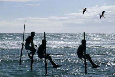 Une tradition ancestrale toujours pratique...