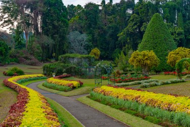 Le Jardin Royal botanique � Kandy