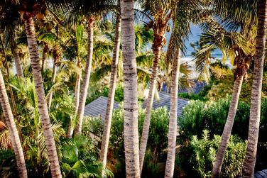 photo Iloha Seaview Hotel Runion