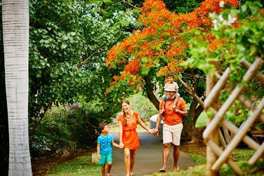 Dans les jardins de lhtel, vous dcouvrirez les nombreuses espces de plantes et arbres de lle, parfois endmiques