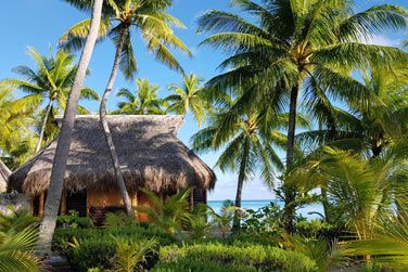 photo Le Tikehau by Pearl Resorts Polynsie