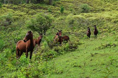 photo Nuku Hiva by Pearl Resorts Polynsie
