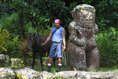 Et une vraie me Marquisienne ...