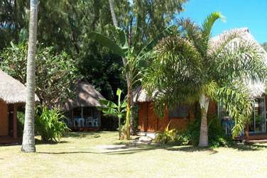 Au coeur de la palmeraie..