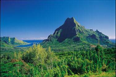 Bienvenue  Moorea...