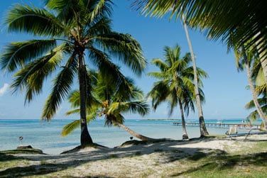 Dcouvrez un vritable cadre paradisiaque