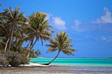 L'htel vous proposera une multitude d'excursions