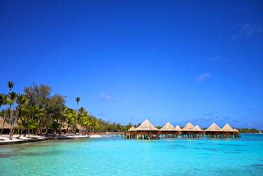 Le site est superbe !