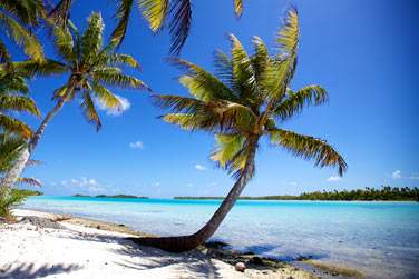 Ce petit bout de lagon dans le lagon est extraordinaire !