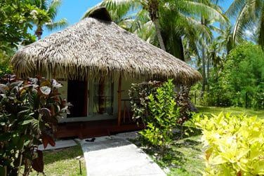 ...  l'ombre d'une vaste cocoteraie