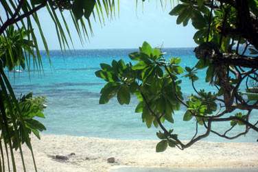 Les plages magnifiques de l'le aux Rcifs..