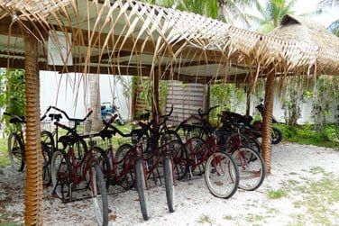 Ou arpentez l'le  vlo pour y dcouvrir sa superbe nature tropicale