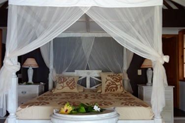 Regardez .. c'est superbe !