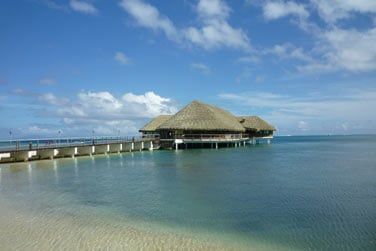 Pour vous restaurer, rendez-vous au restaurant sur pilotis