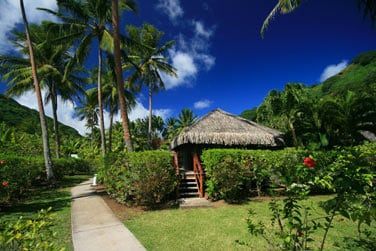 Le bungalow jardin, au coeur des jardins luxuriants