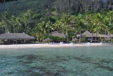 Prenez le temps de vivre  l'ombre d'un cocotier