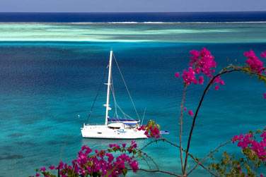 Venez visiter la Socit et ses les aux caractres trs diffrents