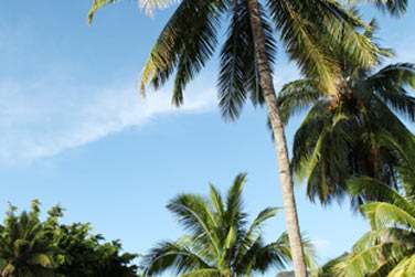 photo Sofitel Kia Ora Moorea Beach Resort Polynsie