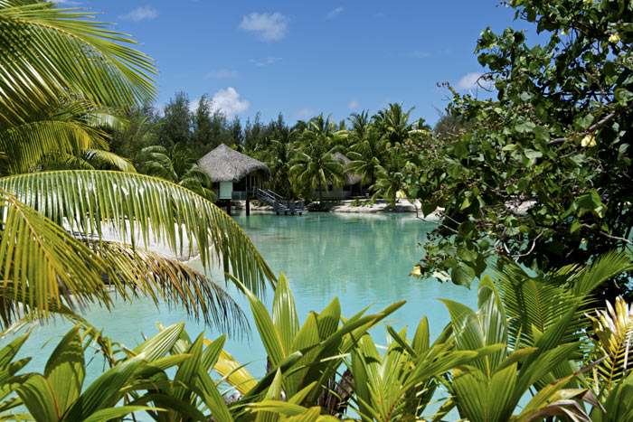 Le bungalow Classique Motu, situ tout au bord du lagon