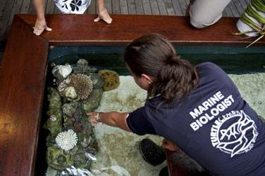 Le Centre Ecologique de lhtel Mridien Bora Bora