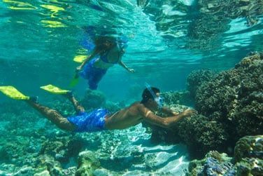 A vos palmes, masque et tuba !