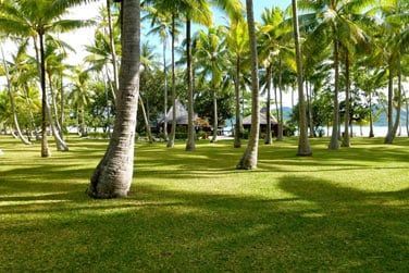 Au coeur de la nature...