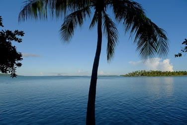 Dans ce dcor de rve...