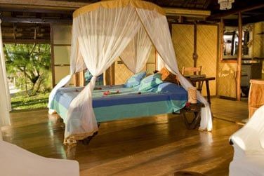 Au design typiquement polynsien...