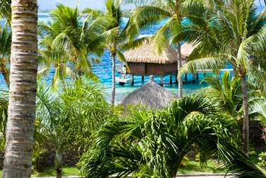 Les bungalows sont dissmins sur la plage, dans le jardin ou poss sur l'eau