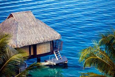 Les bungalows sont spacieux et confortables