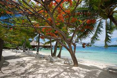 Vous pourrez lzarder sur une plage de sable blanc face  une mer turquoise