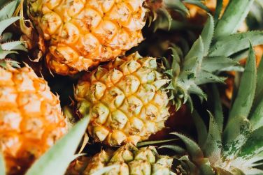 photo C Rodrigues Mourouk Rodrigues