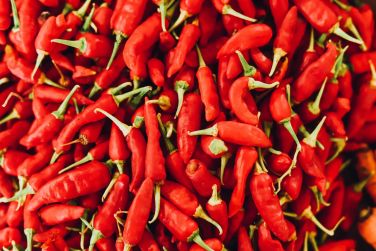 photo C Rodrigues Mourouk Rodrigues