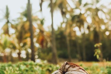 photo C Rodrigues Mourouk Rodrigues