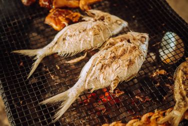 photo C Rodrigues Mourouk Rodrigues