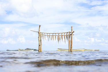 photo C Rodrigues Mourouk Rodrigues