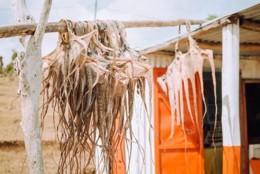 photo C Rodrigues Mourouk Rodrigues