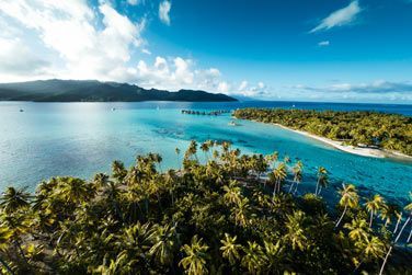 photo Le Taha'a by Pearl Resorts Polynsie