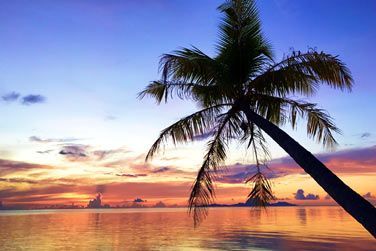 photo Le Taha'a by Pearl Resorts Polynsie