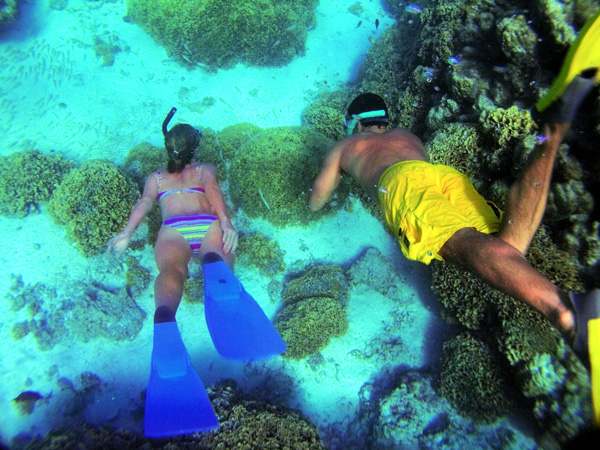 Beaucoup d'excursions vous seront proposes  bord ..du snorkeling...