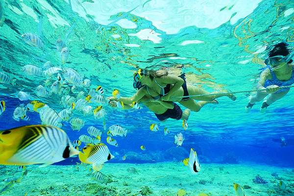 .. Snorkeling