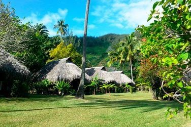 Bungalows jardin au toit de chaume