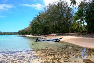 Moorea est une le riche en dcouvertes